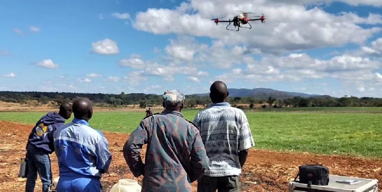 14020411000177 Test PhotoN