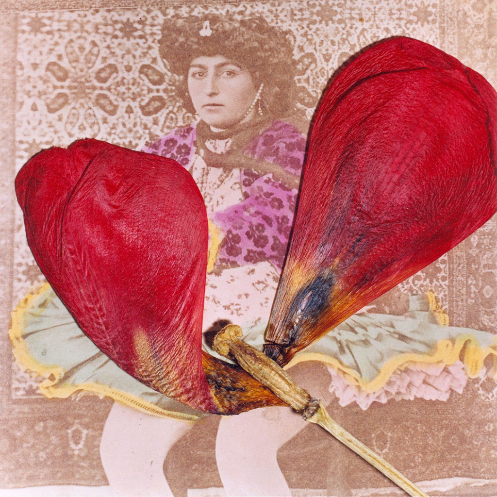 بهمن جلالی تبسم کشاورز