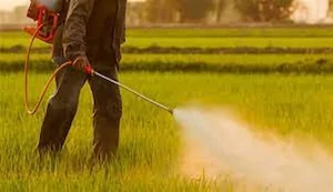 مصرف سالانه 35هزار آفت کش شیمیایی در کشور