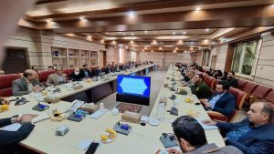 تشکلهای مردمی از مرحله کنش گری به سمت مشارکت در تصمیم گیری گام برداشته اند