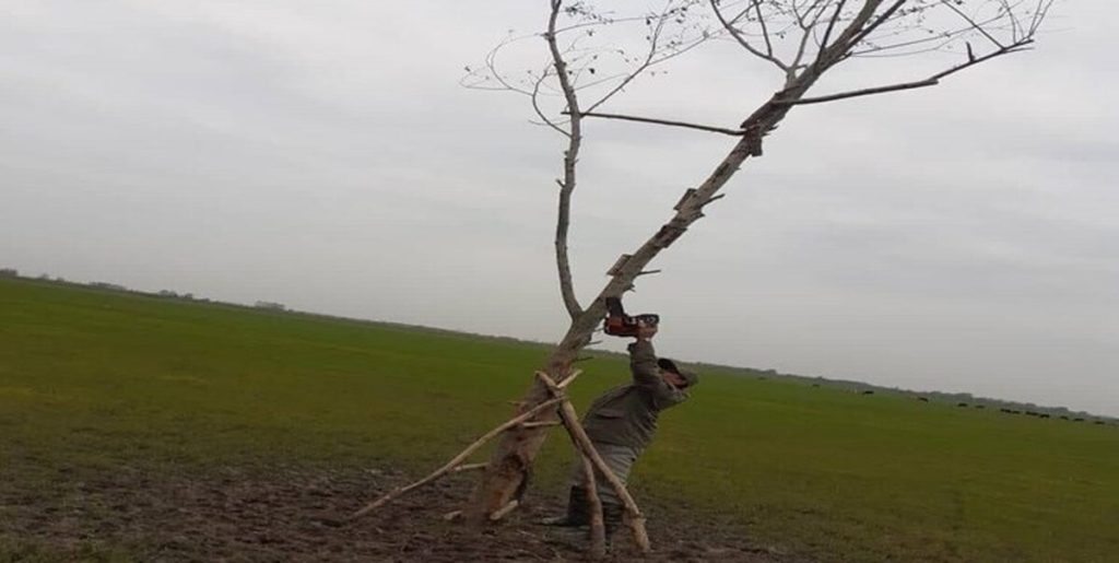 جمع آوری بیش از ۷۰ رشته تله زنده گیری پرندگان شکاری توسط محیط بانان گیلانی