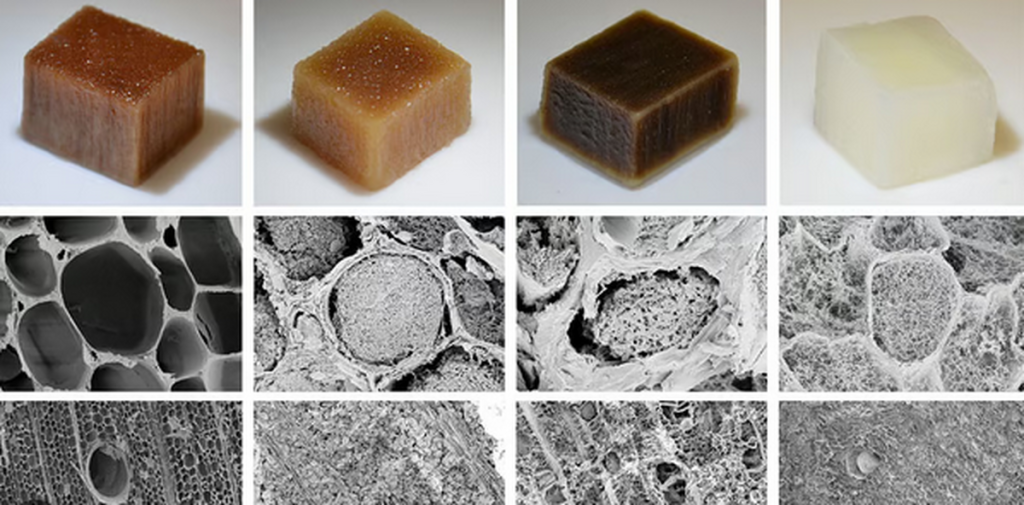 به‌کارگیری فناوری جدید برای استخراج برق از چوب