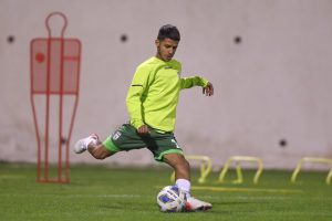 آمادگی بالای مهدی قایدی در امارات و پیام برای قلعه نویی - خبرگزاری مهر | اخبار ایران و جهان