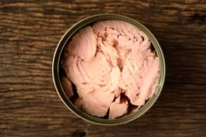 عرضه کنسرو ماهی با ۱۵ درصد تخفیف در نوروز و ماه رمضان