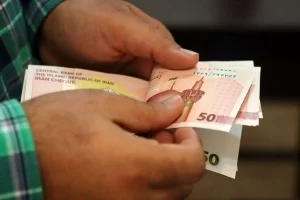 جزئیات نحوه استفاده از یارانه تشویقی ۲۲۰ هزار تومانی در طرح فجرانه