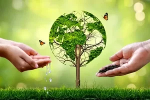 راهکارهایی برای نجات زمین