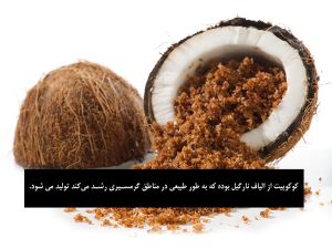 کوکوپیت چیست و چه مزایایی دارد؟ 3 2 9