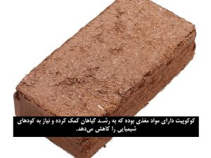 کوکوپیت چیست و چه مزایایی دارد؟ 4 3 3