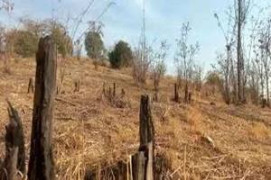 تحویل سند ۷۷۱ هکتار از اراضی چیتگر به سازمان منابع طبیعی