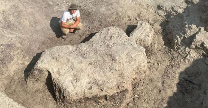 کشف جالب فسیل دایناسور توسط سه دانش آموز