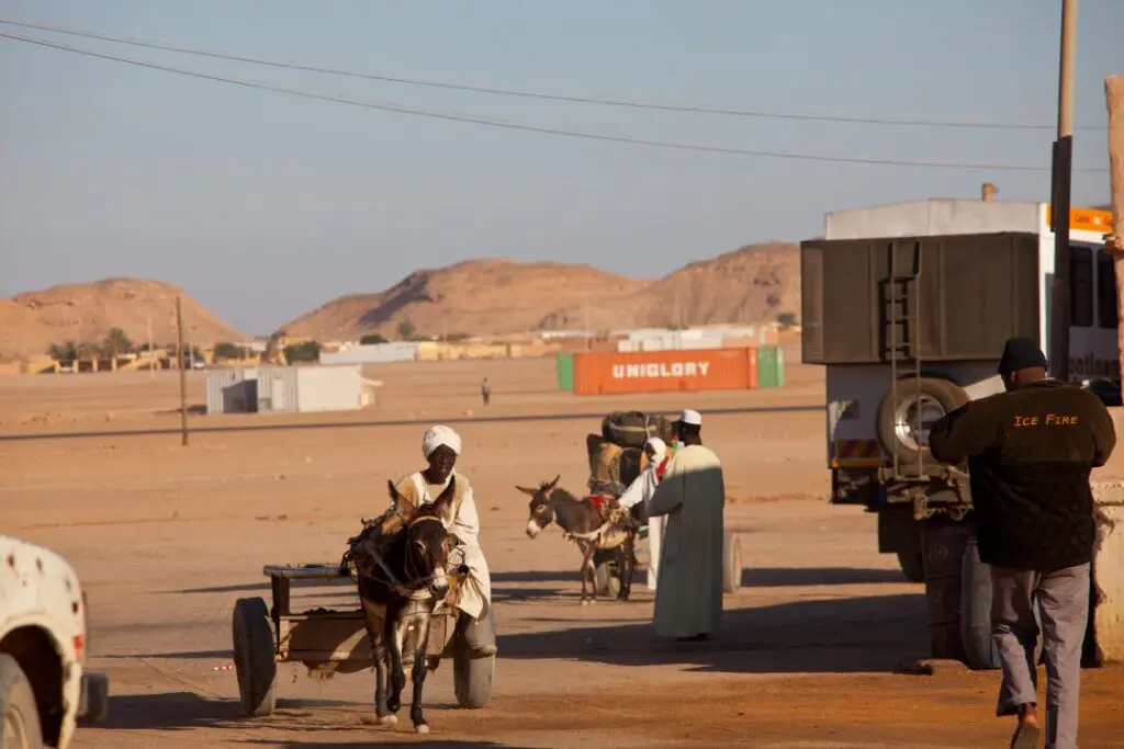 با گرم ترین نقاط جهان آشنا شوید؛ در اینجا باکتری ها هم زنده نمی همانند + عکس_خبررسان 8 وادی حلفا، سودان