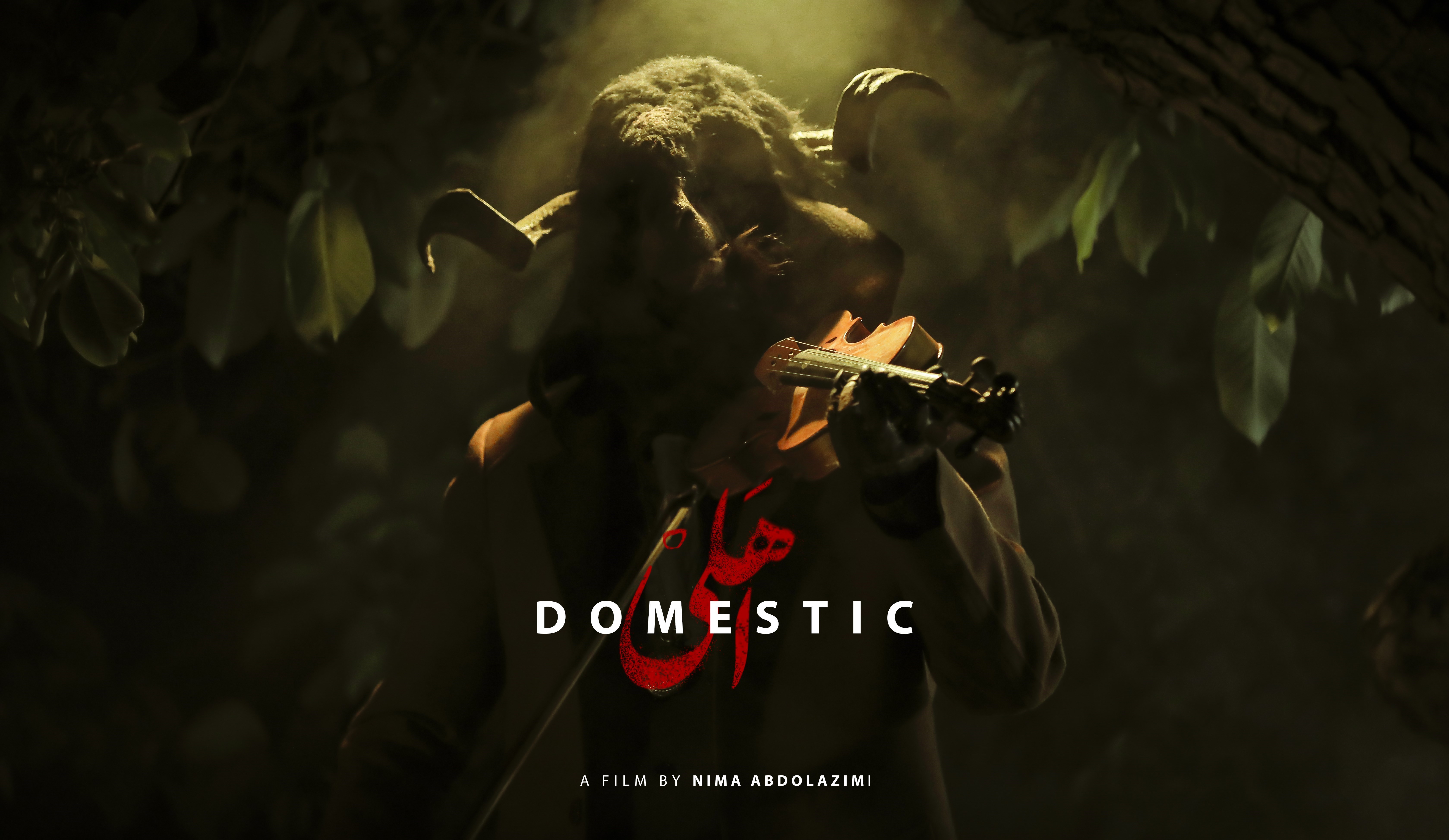 فیلم مختصر «اهلی»، یک داستان بومی، روی خط رئالیسم جادویی_خبررسان 2 جشنواره بینالمللی فیلم کوتاه تهران , فیلم کوتاه , فیلم , سینما , سینمای ایران ,