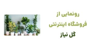 رونمایی از وبسایت گل نیاز: دنیایی از گیاهان و گل‌های زینتی