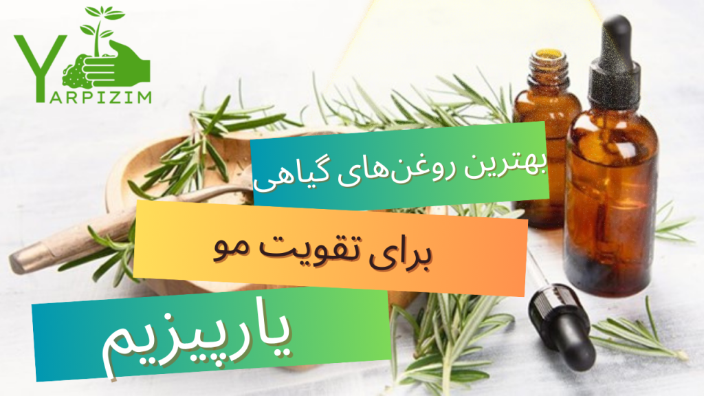 روش درمان ریزش مو با روغنهای گیاهی موضعی 2 روش درمان ریزش مو با روغنهای گیاهی موضعی