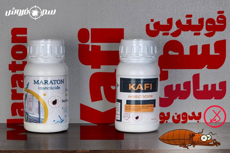 حشره ساس چیست؟ سم مخصوص ساس 4 بهترین سم برای از بین بردن ساس تختخوابی