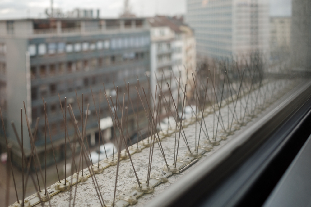 اهمیت نصب شاخک پرنده ‌پران در ساختمان‌ ها