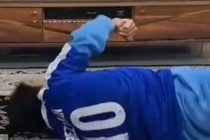 اطمینان خاطر مدیرعامل استقلال به یک هوادار؛ هر کاری لازم باشد انجام می دهم - خبرگزاری مهر | اخبار ایران و جهان