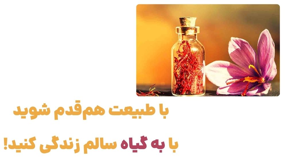 رونمایی از وبسایت به گیاه، فروشگاه اینترنتی عطاری 2 2 33