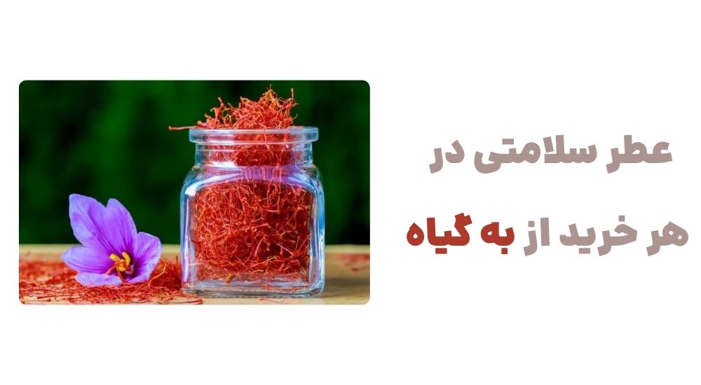 رونمایی از وبسایت به گیاه، فروشگاه اینترنتی عطاری 3 3 26