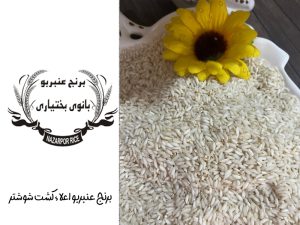 برنج عنبربو؛ طعمی خاص و عطری دل‌انگیز