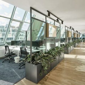 دکور محل کار