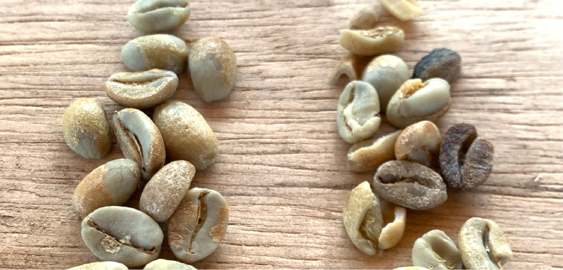 تفاوت قهوه اسپشیال و کامرشیال چیست؟ کدام را بخریم؟