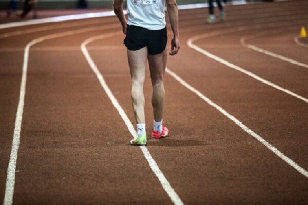 تمجید ناظر IPC از سطح پارادوومیدانی ایران - خبرگزاری مهر | اخبار ایران و جهان