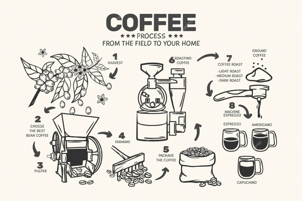 قهوه فرآوری شده چیست؟ هر آنچه باید در مورد این فرآیند بدانیم 2 قهوه فرآوری شده چیست؟ هر آنچه باید در مورد این فرآیند بدانیم