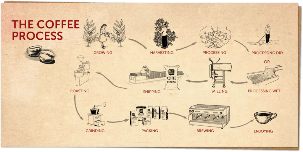 قهوه فرآوری شده چیست؟ هر آنچه باید در مورد این فرآیند بدانیم 3 قهوه فرآوری شده چیست؟ هر آنچه باید در مورد این فرآیند بدانیم