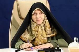 لایحه دائمی مولدسازی اموال دولت در دست تدوین است