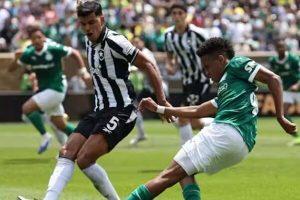 پیروزی پالمیراس در جدال برزیلی‌ها و صعود به یک‌چهارم نهایی - خبرگزاری مهر | اخبار ایران و جهان