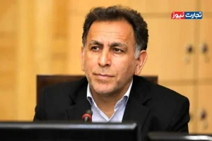 حمایت‌های هدفمند مالیاتی و خارج کردن بانک‌ها از بنگاهداری، از برنامه‌های خوب مدنی زاده در حوزه اقتصاد هستند