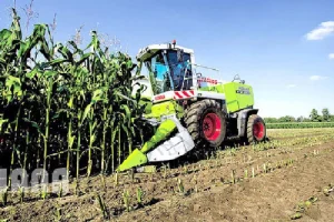 شرط معافیت حقوق گمرکی واردات ماشین آلات چیست؟