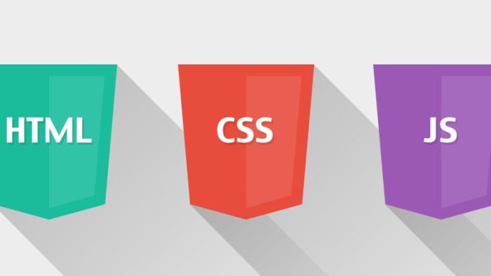 زبان برنامه نویسی مناسب برای طراحی سایت