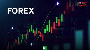 ibaQhsgANJz0ZbFYoFZ65JP8zSMuTFMU5Dq3GHnV