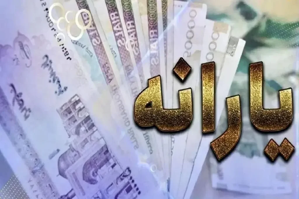 نماینده مجلس: سامانه اطلاعات خانوار وزارت رفاه نیازمند بازنگری است/ فرآیند حذف یارانه بگیران شفاف نیست/ برخی از مرفهین همچنان یارانه می گیرند