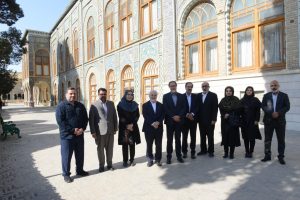 سینما , سازمان سینمایی ,