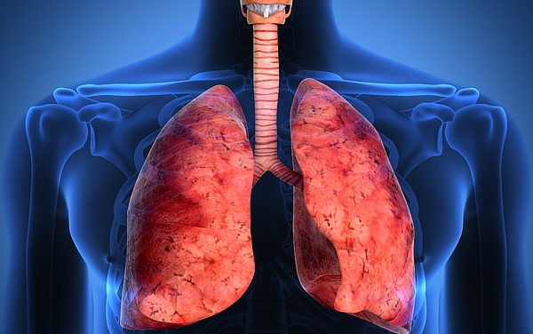 سلامت چندگانه: از سندروم روده نشت‌کننده تا آسیب‌های ریوی پس از تروما و خشکی مخاط تنفسی