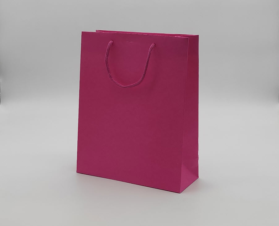 فروشگاه همه رنگ؛ فروش و ارسال ساک دستی آماده 2 ساعته