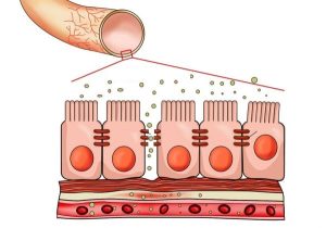 Qhkoy7kowQj8bWHKzOmFzPcxX6iq3BVTSiRMTpYw