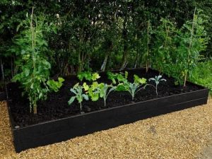 انواع بستر کشت