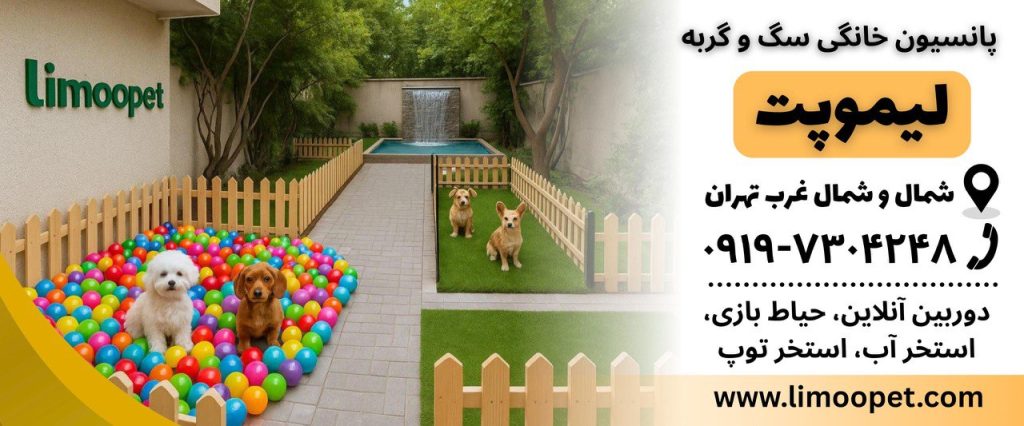 🐾 پانسیون خانگی لیموپت؛ بهشت حیوانات خانگی در شمال و شمال‌غرب تهران