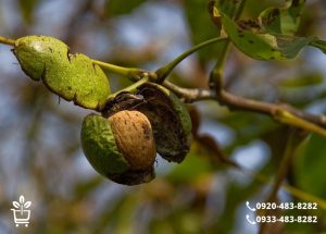 HYKXAj4cb8gmHTXZmekOh4SQ1jc6KMMmMoekjsk8