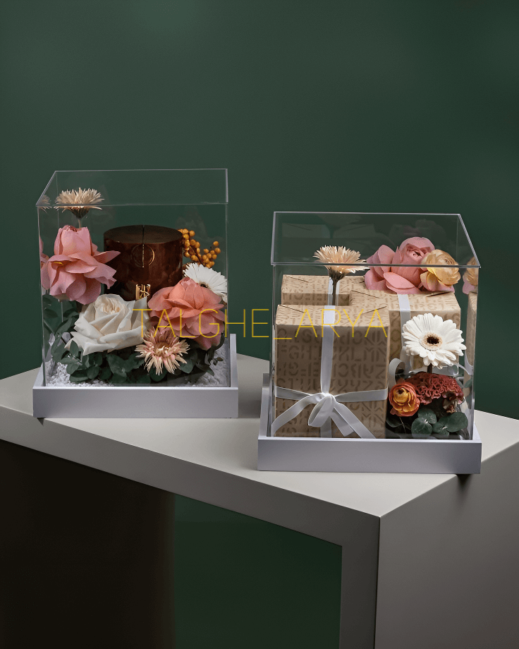 باکس پلکسی چیست و چه کاربردهایی دارد؟ راهنمای جامع انتخاب و خرید