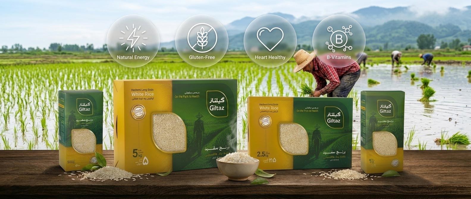 چرا برنج دانه‌بلند گیلتاز انتخابی متفاوت است؟