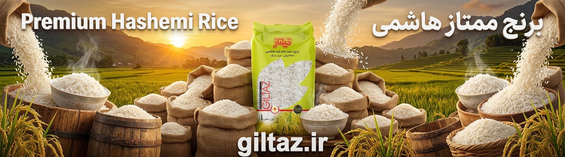 برنج ممتاز گیلتاز