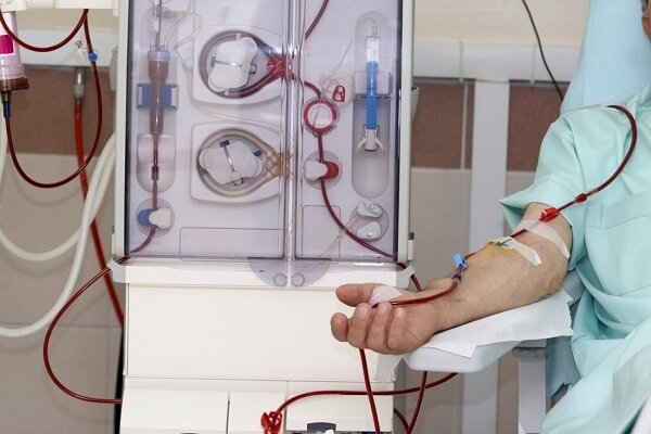 پنج ماده غذایی برتر برای پیشگیری از سنگ کلیه معرفی شدند