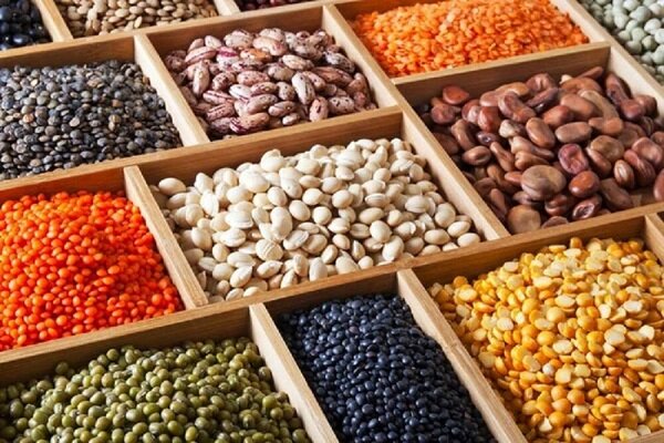منابع پروتئین گیاهی برای تغذیه سالم