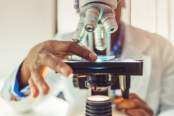 فرآیند تبدیل پسماندهای صنعتی به محصولات باارزش با قارچ خوراکی