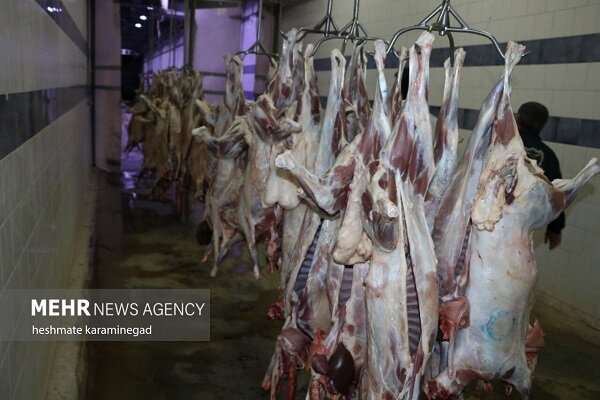 بازداشت محموله گوشت غیربهداشتی و انکار توزیع گوشت الاغ در البرز